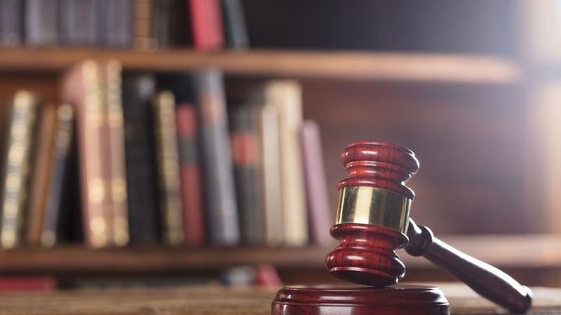 如何打造高效商标注册查询系统？揭秘定制化解决方案